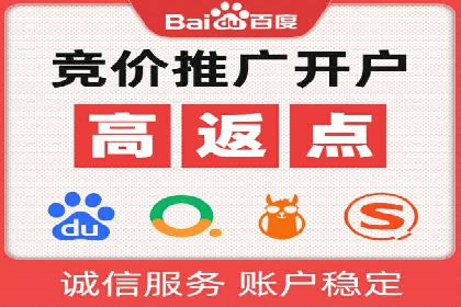 SEM搜索引擎优化策略解析与应用案例
